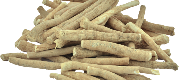 Ashwagandha-Roots 1